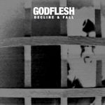 Godflesh - Decline and Fall (2014)