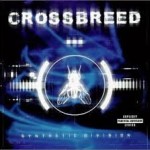 Crossbreed Synthetic Division