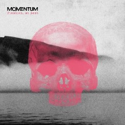 momentumcover