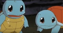 squirtle 810