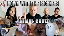 disturbed-animal-cover-2016