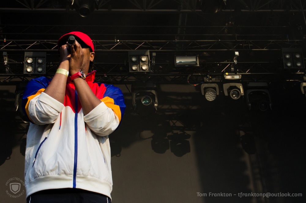 Danny Brown 8