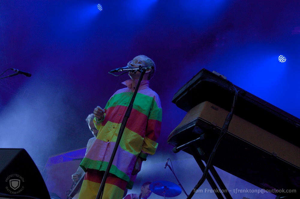 Hot Chip 8