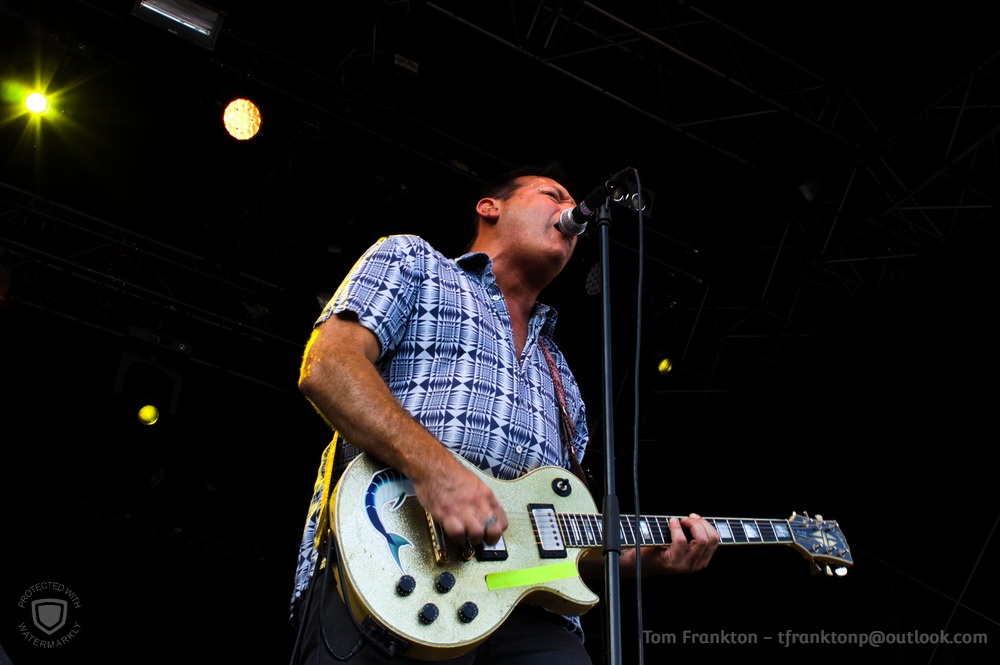 Hot Snakes 6