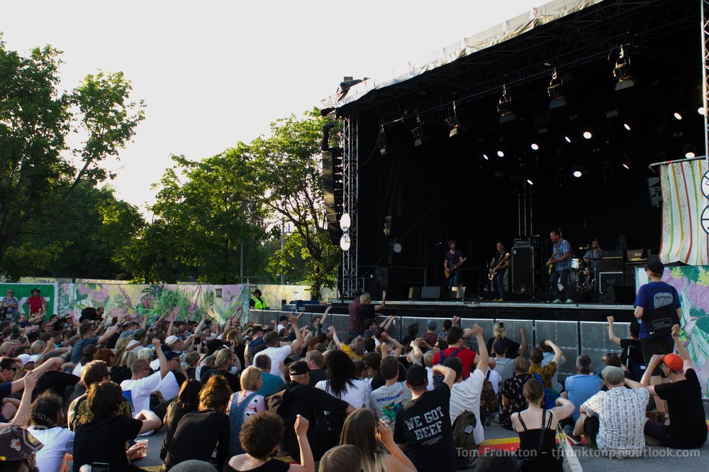 Hot Snakes 8