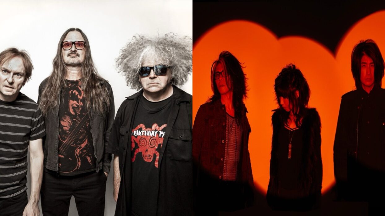 Melvins x Boris